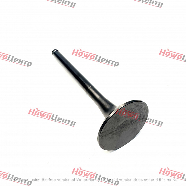 Клапан выпускной WP10/WD615 (VG1560050041) LEO100409A